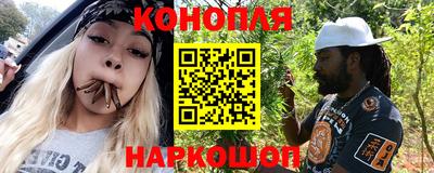сатива Бийск