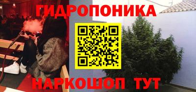 трава Берёзовский