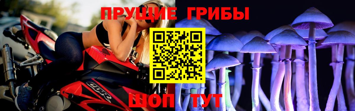 Зеленодольск  Галлюциногенные грибы мицелий  Вход с VPN 